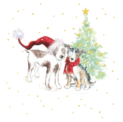 DISCOUNTED - Christmas Companions Pack of 10 Cards