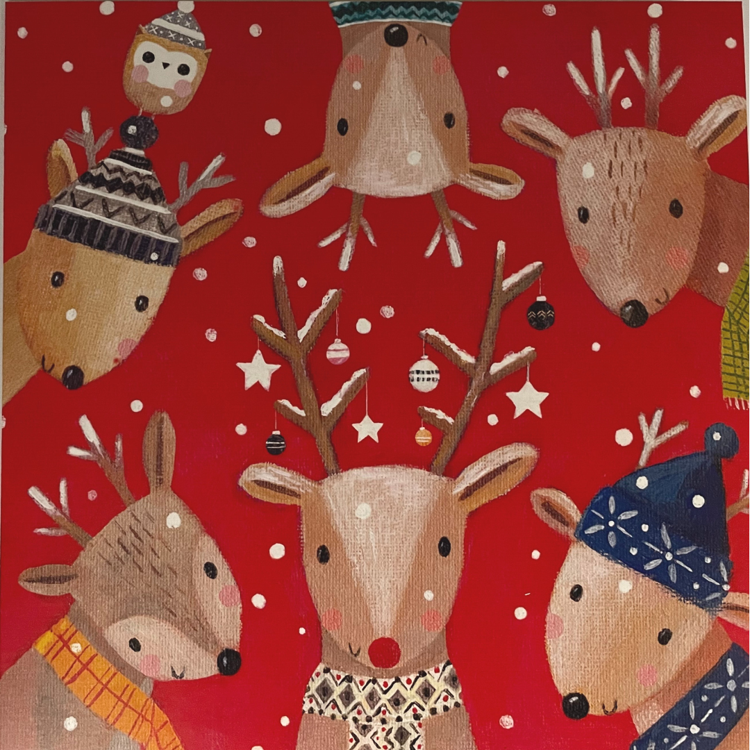 DISCOUNTED - 'Reindeer Heads' Pack of 10 Cards
