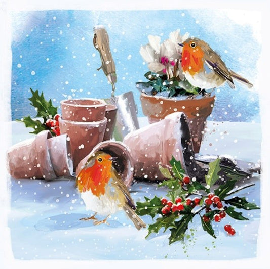 'Amongst the Pots' Pack of 10 Cards