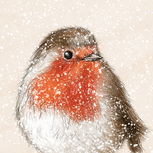 'Snowy Robin' Pack of 10 cards